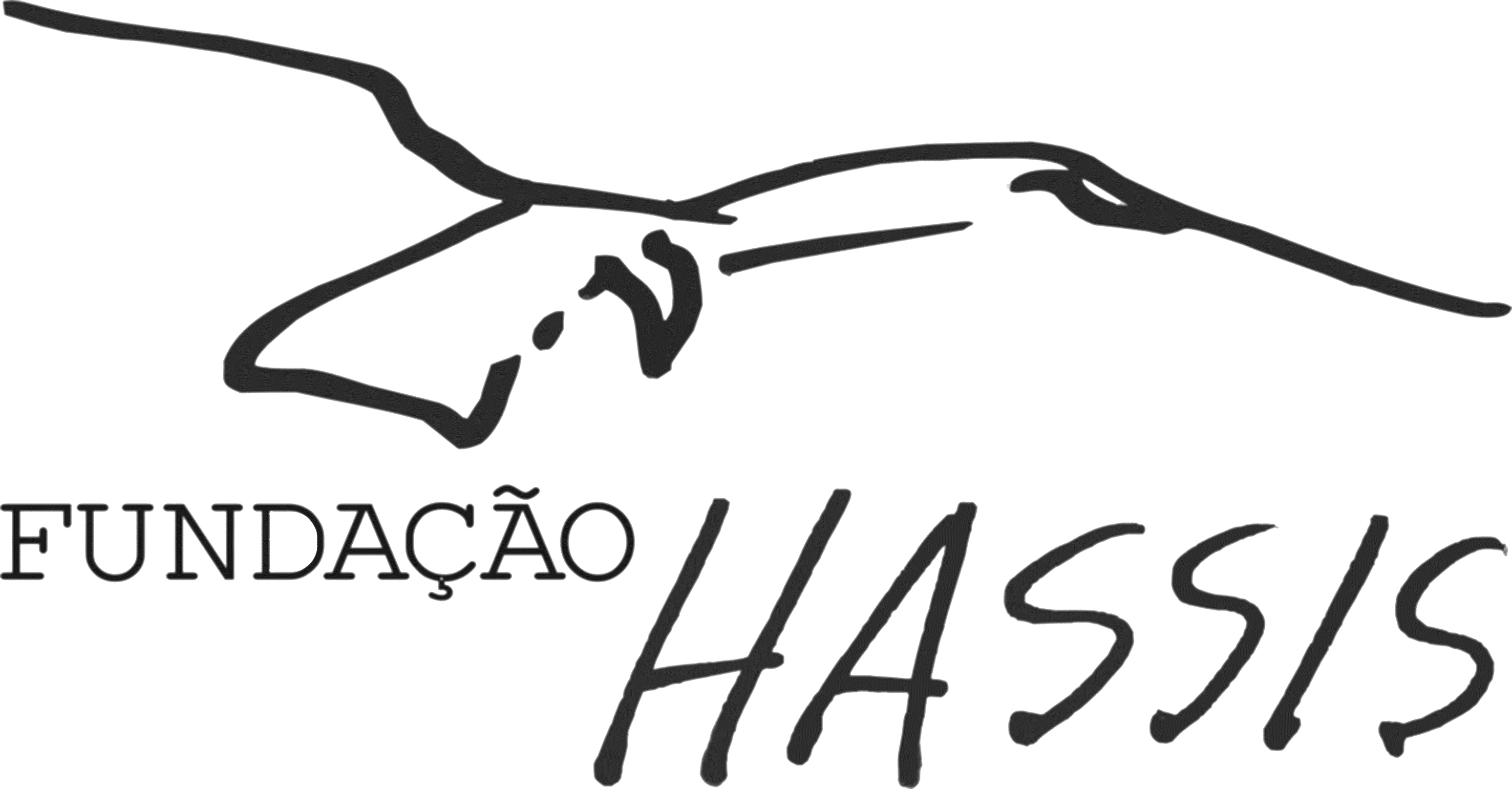 Livro Hassis 100 anos